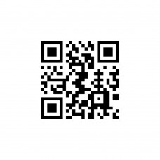 Мобильный идентификатор SH-03 BAS-IP